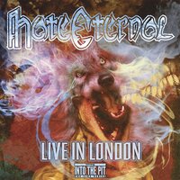 The Victorious Reign - Hate Eternal