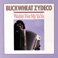 My Feet Can't Fail Me Now - Buckwheat Zydeco