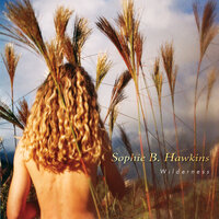 Open Up Your Eyes - Sophie B. Hawkins