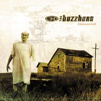 Holy Man - The Buzzhorn
