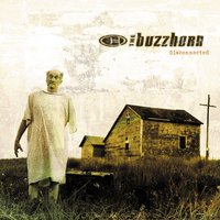 The Buzzhorn