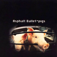 Pigs - Asphalt Ballet