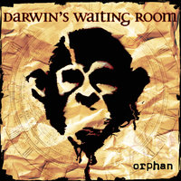 In To The Dark - Darwin's Waiting Room