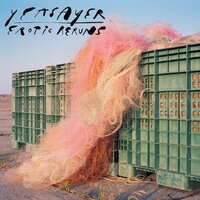 Fluttering In The Floodlights - Yeasayer