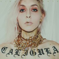 IF THE POISON WON'T TAKE YOU MY DOGS WILL - Lingua Ignota