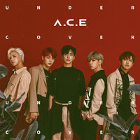 Do It Like Me - A.C.E