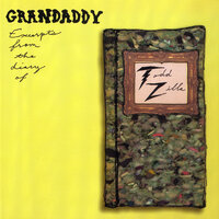 Pull The Curtains - Grandaddy