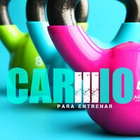 Entrenamiento de Diciplina - Cardio