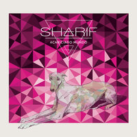 R.o.n.r.o.n.e.a - Sharif, Maka