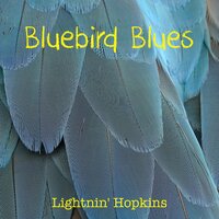 Introduction, Big Car Blues - Lighnin' Hopkins