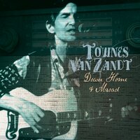 Talking Thunderbird Blues - Townes Van Zandt