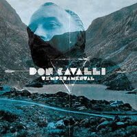 Temperamental - Don Cavalli