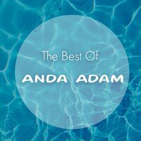 Am chef - Anda Adam