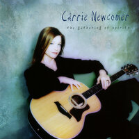 I'm Still Standing - Carrie Newcomer