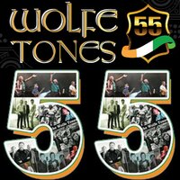 They Don't Play Our Songs on Radio - The Wolfe Tones