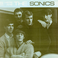 Dirty Robber - The Sonics