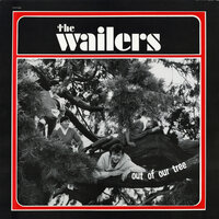 I'm Down - The Fabulous Wailers