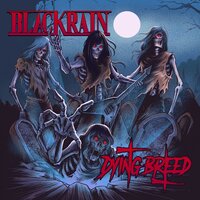 Blast Me Up - BlackRain