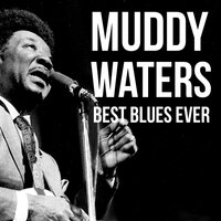 You've Got to Get Sick and Die Some of These Days - Muddy Waters