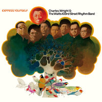 Solution for Pollution - Charles Wright & The Watts 103rd. Street Rhythm Band
