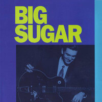 Goodbye Train - Big Sugar