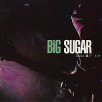 Dear Mr Fantasy - Big Sugar