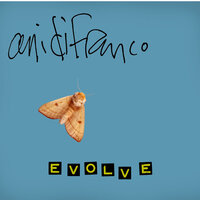 Here for Now - Ani DiFranco