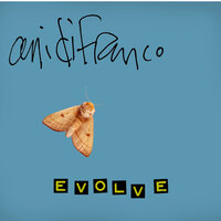 In The Way - Ani DiFranco