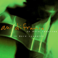 What How When Where - Ani DiFranco