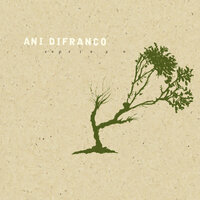 Reprise - Ani DiFranco