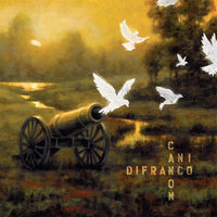 Buildings and Bridges - Ani DiFranco