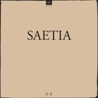 The Poet You Never Were - Saetia