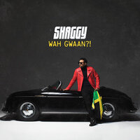 Supernatural - Shaggy, Stacy Barthe, Shenseea