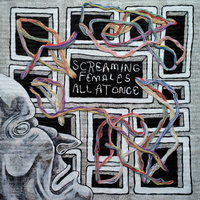 Chamber for Sleep (Part Two) - Screaming Females