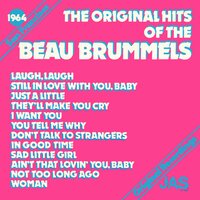 Not Too Long Ago - The Beau Brummels