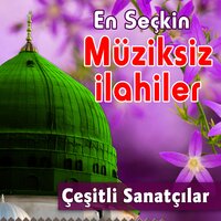 Müsaden Var Mı ( Müziksiz ) - Sedat Uçan