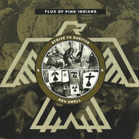 Is There Anybody There? - Flux of Pink Indians