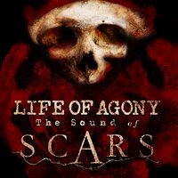 Once Below - Life Of Agony