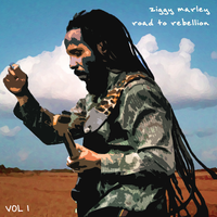 Rebellion Rises - Ziggy Marley