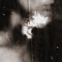 Marigold - Holding Absence