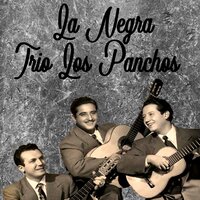 Hay Amor No Me Quieras Tanto - Trio Los Panchos