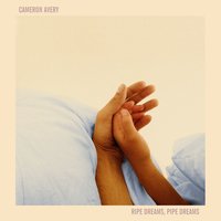 Wasted On Fidelity - Cameron Avery