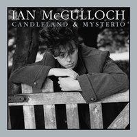 Webbed - Ian Mcculloch
