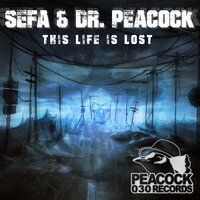This Life Is Lost - Dr. Peacock, Sefa
