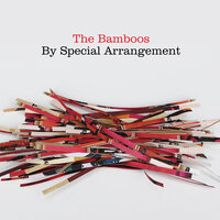 The Truth - The Bamboos