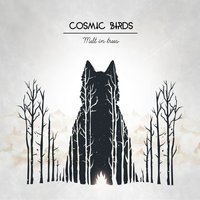 Melt in Trees - Cosmic Birds