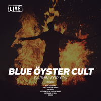 Fire Of Unknown Orign - Blue Öyster Cult