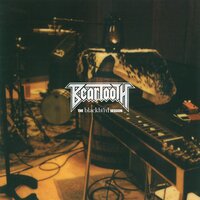 Afterall - Beartooth, Caleb Shomo