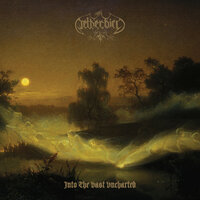 Harvest The Stars - Netherbird