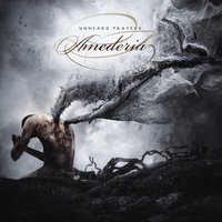 Loneliness in Heaven - Amederia